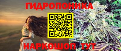 ALPHA PVP Нальчик