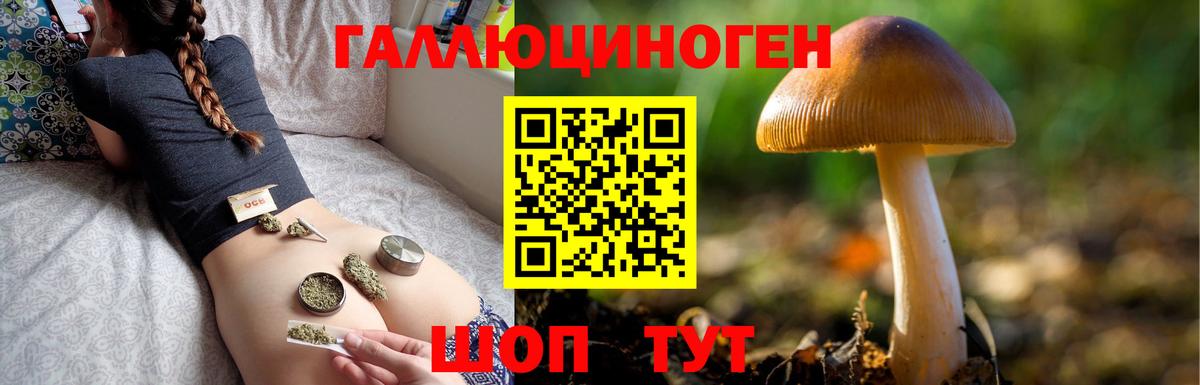 Галлюциногенные грибы ЛСД  Вход с VPN  Псилоцибиновые грибы Psilocybe  Волгоград 